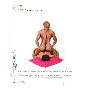 Kamasutra 365 days : 1 year positions