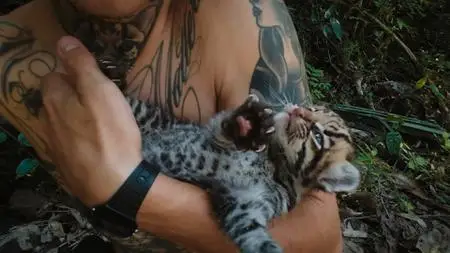Wildcat (2022)