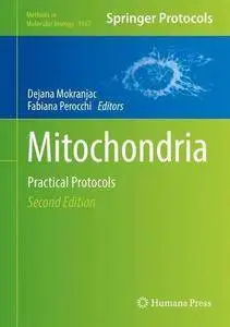 Mitochondria: Practical Protocols (Methods in Molecular Biology)