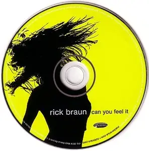 Rick Braun - Can You Feel It (2014) {Artistry}