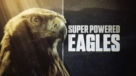BBC Natural World - Super Powered Eagles (2020)