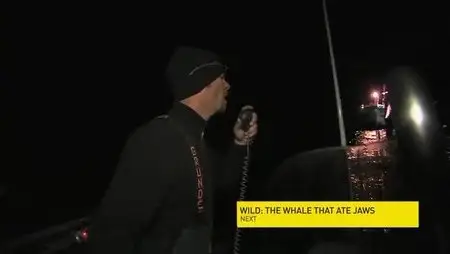 Nat Geo - Expedition Great White Fresh kill