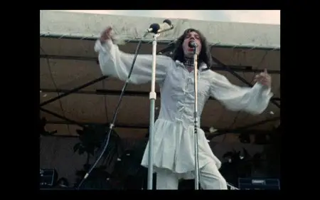 The Rolling Stones - The Stones In The Park (1969) [HDTV 1080i]