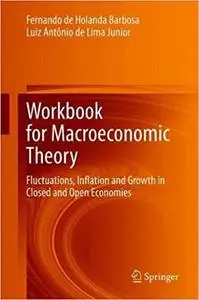 Workbook for Macroeconomic Theory: Fluctuations, Inflation and Growth in Closed and Open Economies
