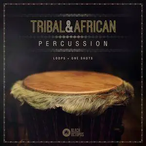 Black Octopus Sound Tribal And African Percussion WAV