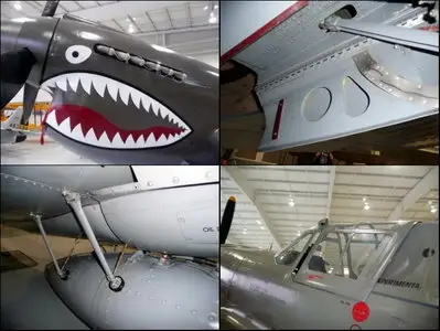Curtiss P-40E Warhawk Walk Around