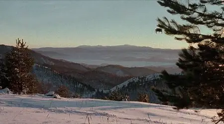 "Life Is A Miracle (Zivot je cudo)" by EMIR KUSTURICA
