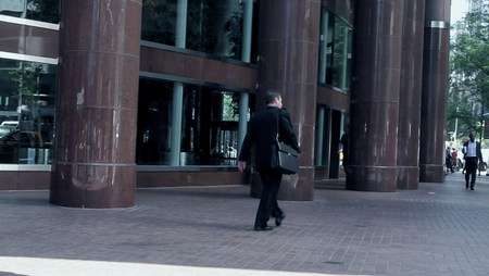 Chasing Madoff (2010)