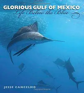 Glorious Gulf of Mexico: Life Below the Blue