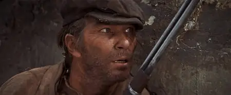 The Wild Bunch (1969)