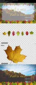 Capture the Fall - Create your own Fall Themed Picture borders in Adobe Photoshop