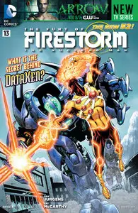 The Fury of Firestorm 013 (2012)