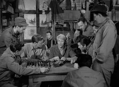 Stalag 17 (1953) [Remastered]