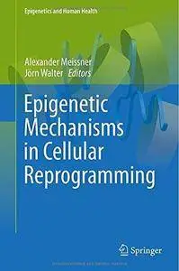 Epigenetic Mechanisms in Cellular Reprogramming (Repost)