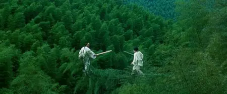 Crouching Tiger, Hidden Dragon (2000) [Reuploaded]