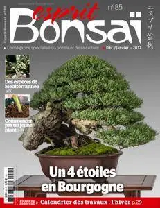 Esprit Bonsai - décembre 01, 2016