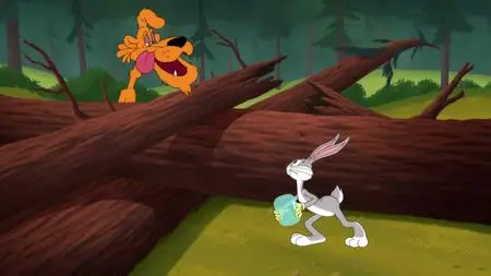 Looney Tunes Cartoons S01E64