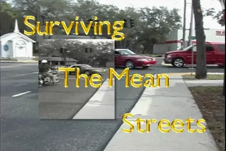 Surviving the Mean Streets