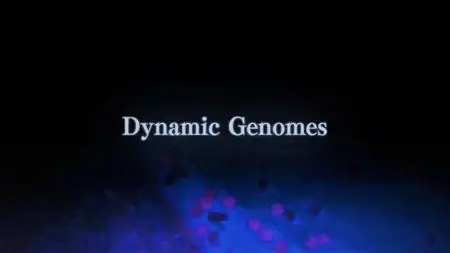 NHK - Dynamic Genomes: Series 1 (2019)