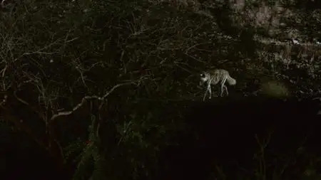Dead by Dawn S01E02