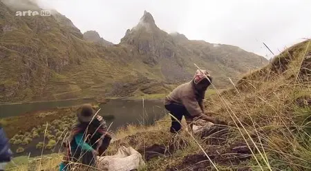 (Arte) La pomme de terre, l'autre trésor inca (2015)