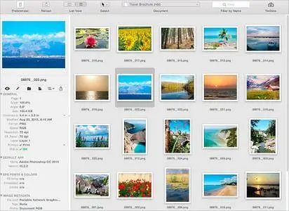 Badia BigPicture 2017 8.0.0 Mac OS X