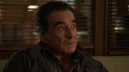 Blue Bloods S06E04