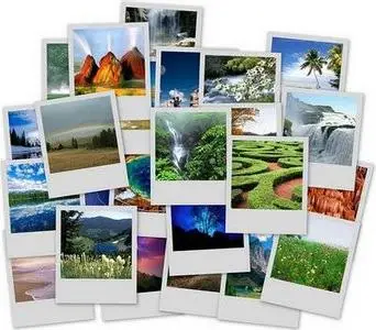 Wallpapers : Nature 9