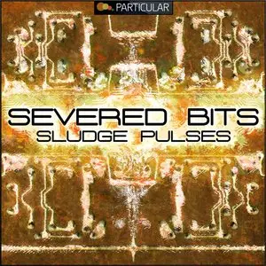 Particular Severed Bits Sludge Pulses (WAV-REX2)