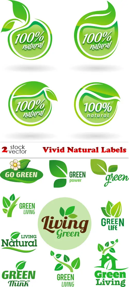 Vectors - Vivid Natural Labels