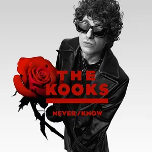 The Kooks - Never-Know (2025) [Official Digital Download]