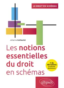 Les notions essentielles du droit en schémas - Johanna Guillaumé