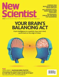 New Scientist Australian Edition - 6 September 2025