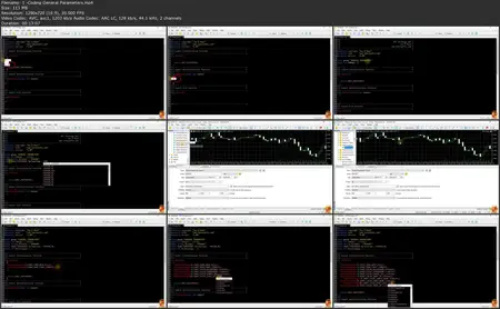 MQL5 PROJECTS: Code A Semi-High Frequency Trading Strategy