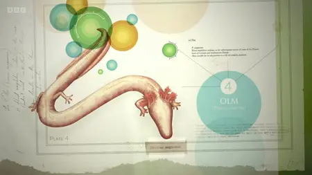 Attenborough's Ark (2012)