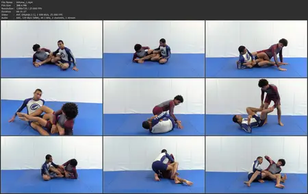 Scientifically Shutting Down Modern Leg Attacks: A Guide to Staying Safe and Escaping Leg Locks