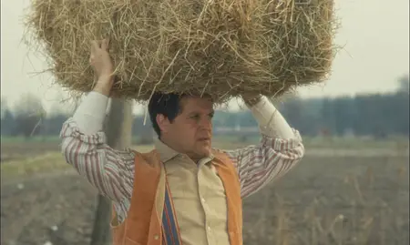 Il ragazzo di campagna (1984)