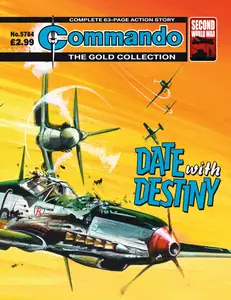Commando 5764 (2024) (Random Stranger-DCP