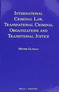 International Criminal Law, Transnational Criminal Organizations and Transitional Justice