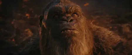 Godzilla x Kong: The New Empire (2024)