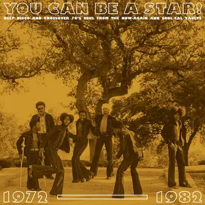 VA - You Can Be A Star! Deep Disco And Crossover 70's Soul From The Now-Again And Soul-Cal Vaults 1972-1982 (2024)