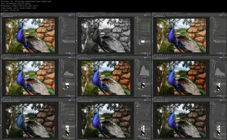 Essentials of Masking in Photoshop and Lightroom