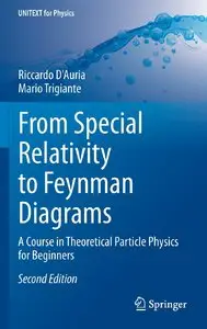 From Special Relativity to Feynman Diagrams