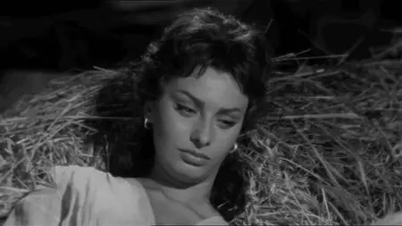 Desire Under the Elms (1957)