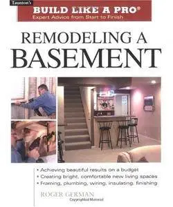 Remodeling a Basement: Expert Advice from Start to Finish (repost)