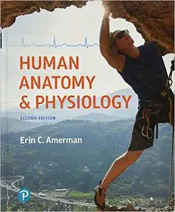 Human Anatomy & Physiology  Ed 2