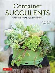 Container Succulents: Creative Ideas for Beginners