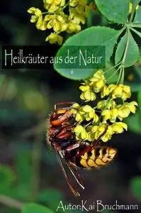 Heilkräuter aus der Natur