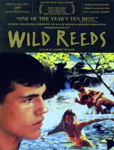 Les Roseaux sauvages / Wild Reeds - by André Téchiné (1994)