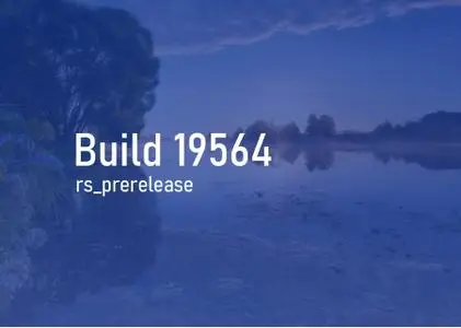 Windows 10 Insider Preview (20H2) Build 19564.1